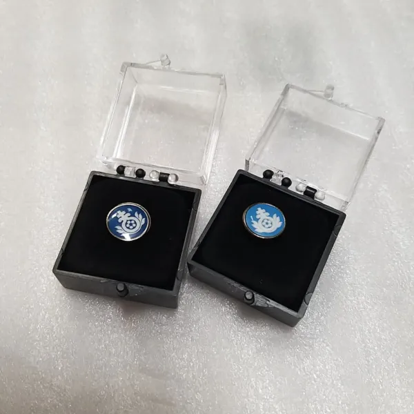 Ein Paar Ohrringe in einer Schachtel auf einer weißen Oberfläche